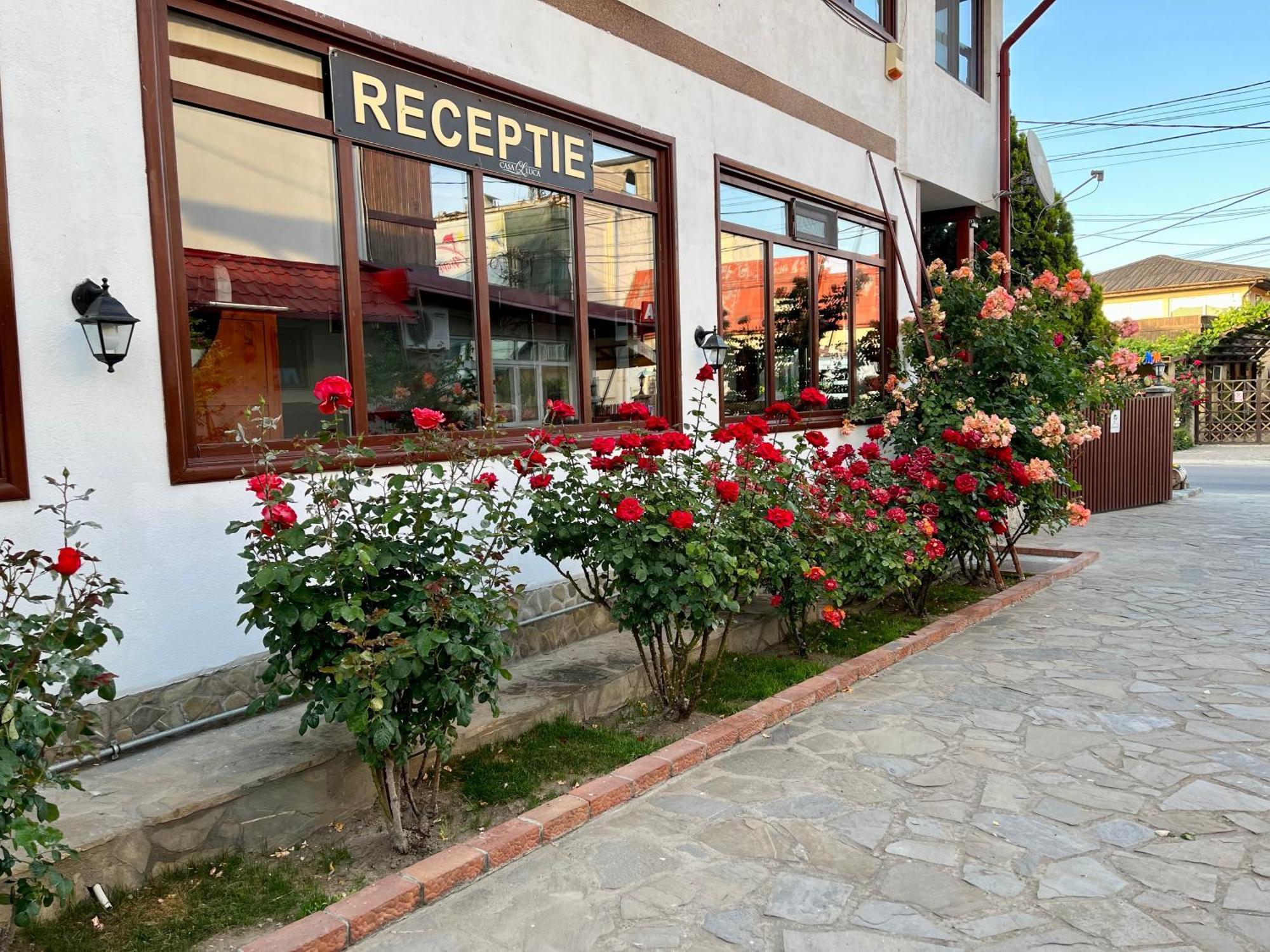 Casa Luca Hotel Vama Veche Exterior photo